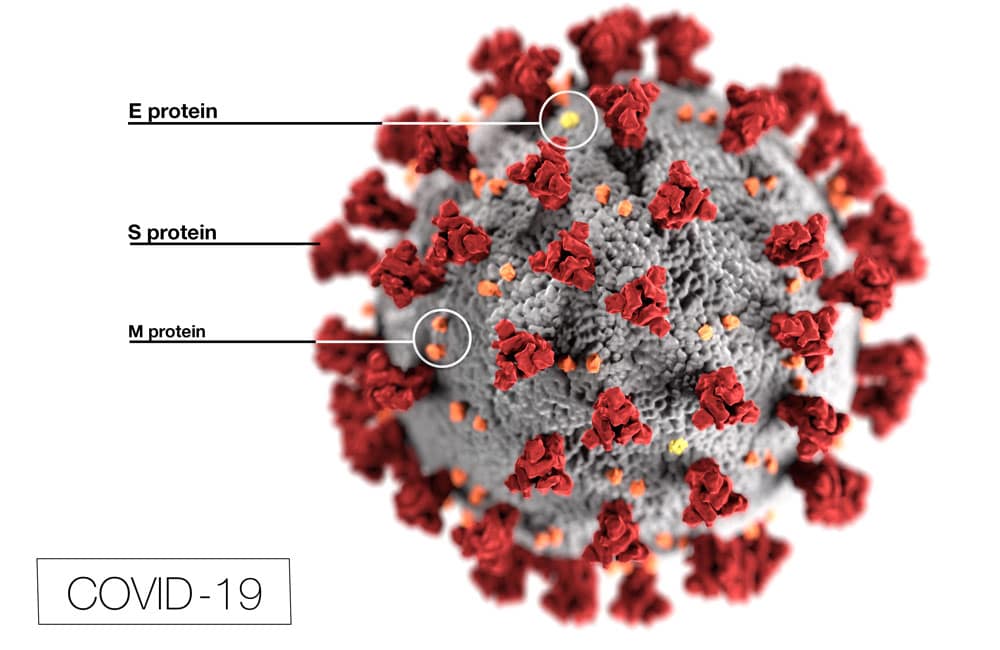 COVID19-virus-image