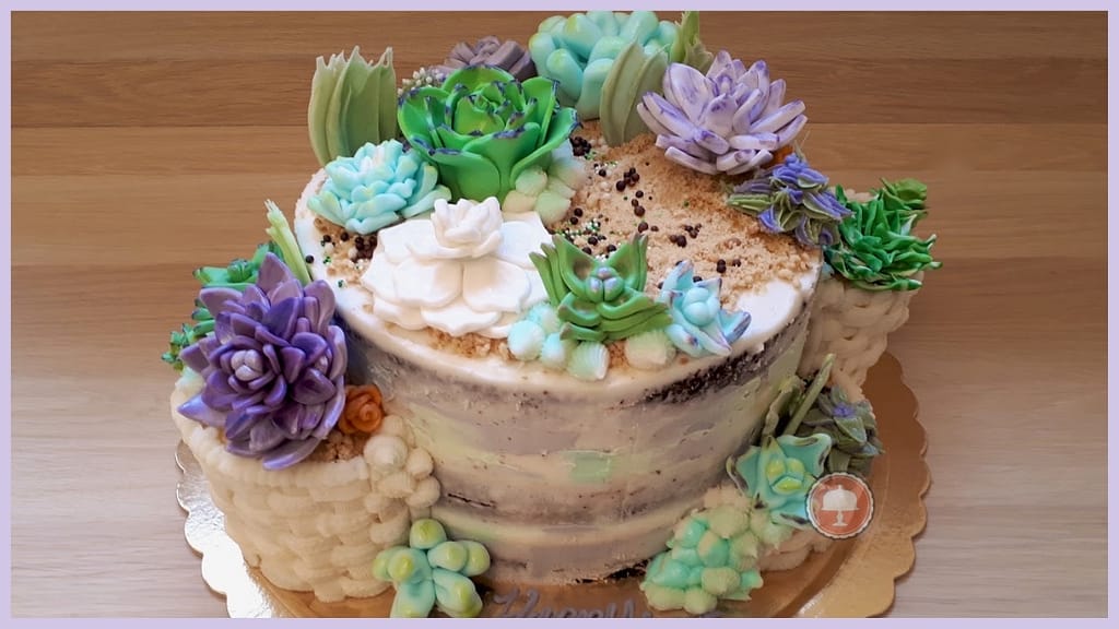 5 Cheesecake Design Ideas with Toppings 13 succulents cake design ideas fondant cake toppers