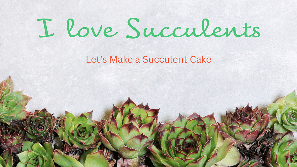 i love succulent cakes shows the variety of the various succulents