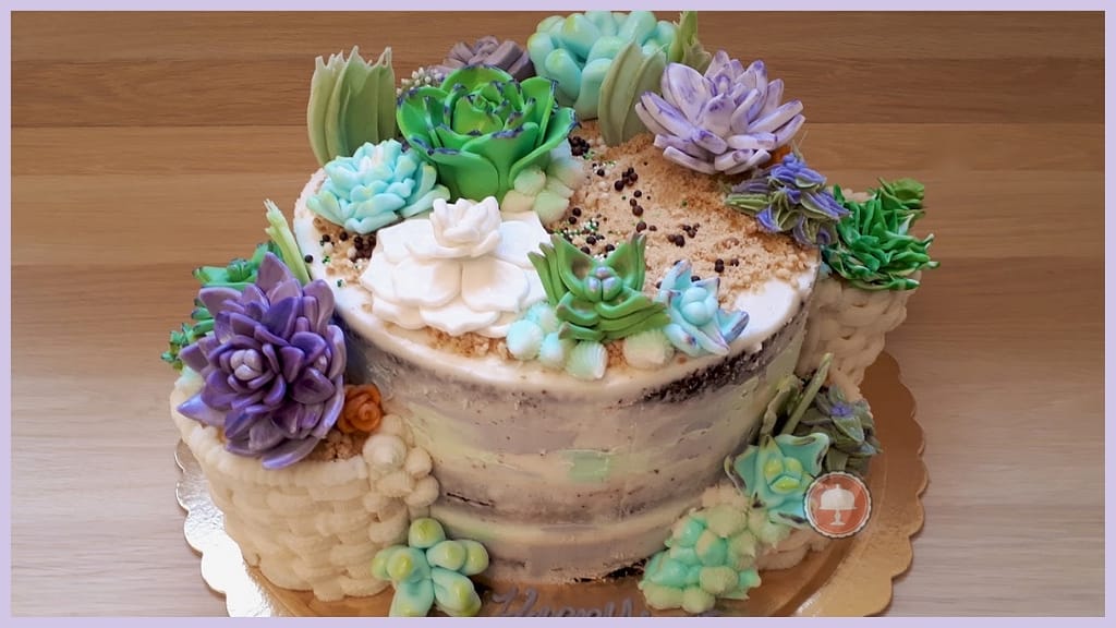 succulents cake design ideas fondant cake toppers