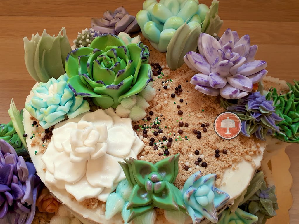 example of succulents cake ideas with cactus and desert sand
