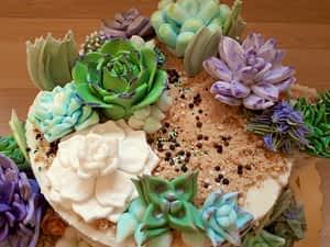 Succulents Cake Ideas: 4 Secrets To Blossom & Create! - CakeLovesMe - Birthday Cakes - succulents cake ideas - Birthday Cakes