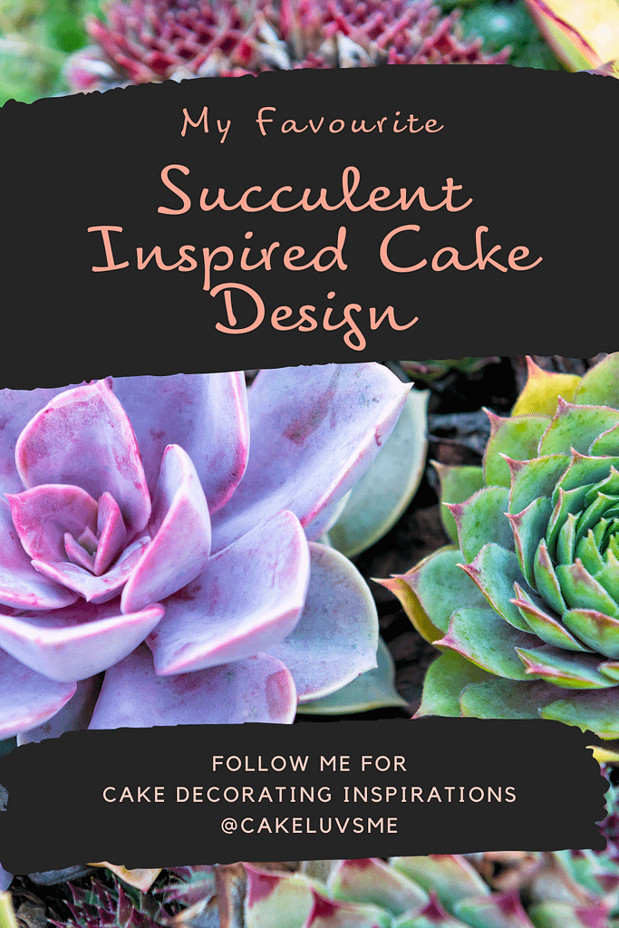 succulents cake ideas pinterest image