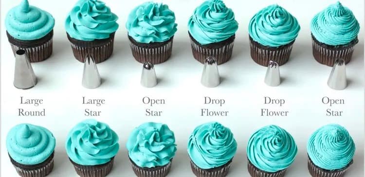 Succulents Cake Ideas: 4 Secrets To Blossom & Create! 23 piping tips for making succulent cakes