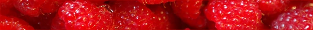 Heavenly Raspberry Cake Filling Recipe - CakeLovesMe - New!, Recipes - raspberry cake filling - raspberry cake filling recipe