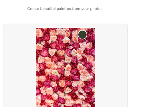 Valentines colors palette - How To guide - CakeLovesMe - New!, Cake Baking Tips and Tricks - valentines colors -