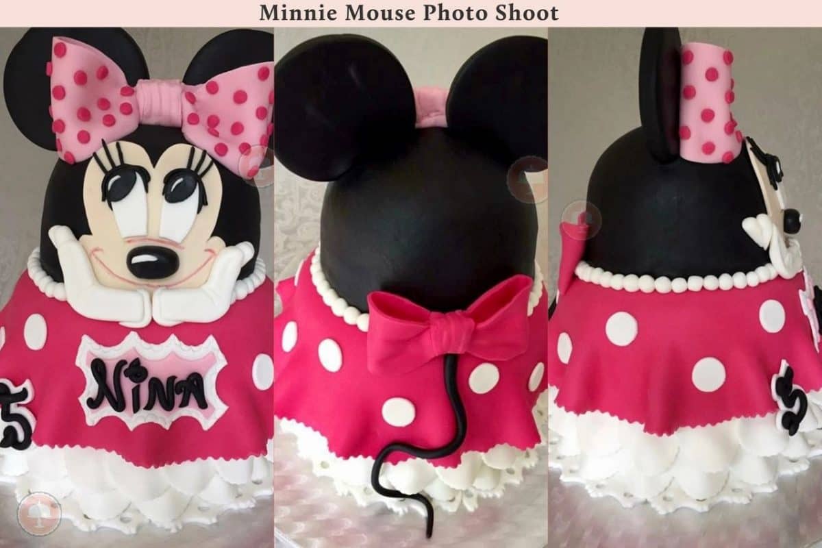 Minnie Mouse Birthday Cake Photo Shoot